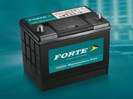 Фото аккумуляторов марки Forte «Форте»