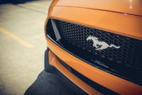 Фото логотипа (эмблемы, знака, фирменной надписи) легковых автомобилей марки Mustang «Мустанг»