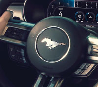 Фото логотипа (эмблемы, знака, фирменной надписи) легковых автомобилей марки Mustang «Мустанг»