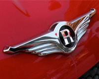 Фото логотипа (эмблемы, знака, фирменной надписи) легковых автомобилей марки Riich «Рич»