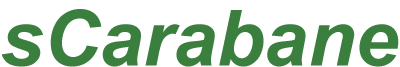 Логотип (эмблема, знак) автодомов марки sCarabane «Скэребан»