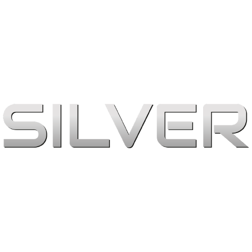 Логотип (эмблема, знак) автодомов марки Silver «Сильвер»