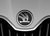 Фото логотипа (эмблемы, знака, фирменной надписи) легковых автомобилей марки Skoda «Шкода»