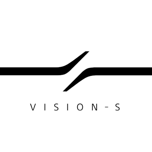 Логотип (эмблема, знак) легковых автомобилей марки Vision-S «Вижн-Эс»