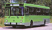 Фото автобусов марки «ЛиАЗ» / LiAZ
