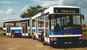 Фото автобусов марки Jelcz «Ельч»